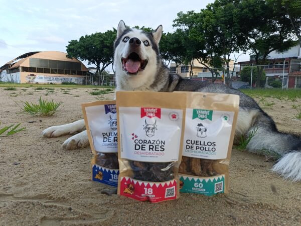 Corazón de res deshidratado