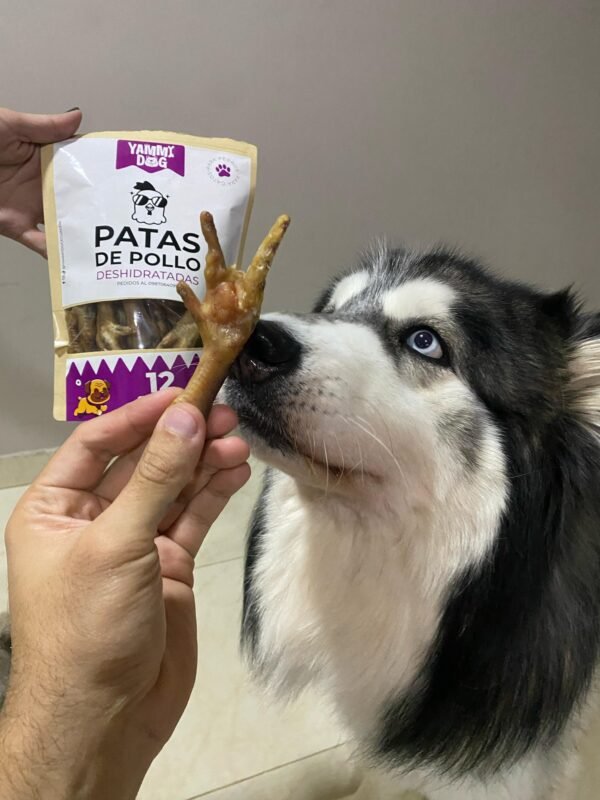 Patitas de pollo deshidratadas