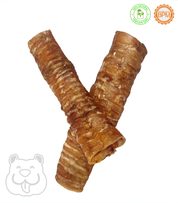 Tráquea de res deshidratada 32cm